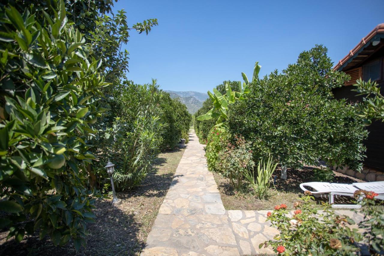 Ugur Pansiyon Bungalows ชิลารึ ภายนอก รูปภาพ