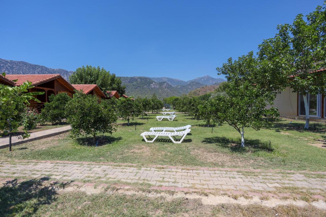 Ugur Pansiyon Bungalows ชิลารึ ภายนอก รูปภาพ