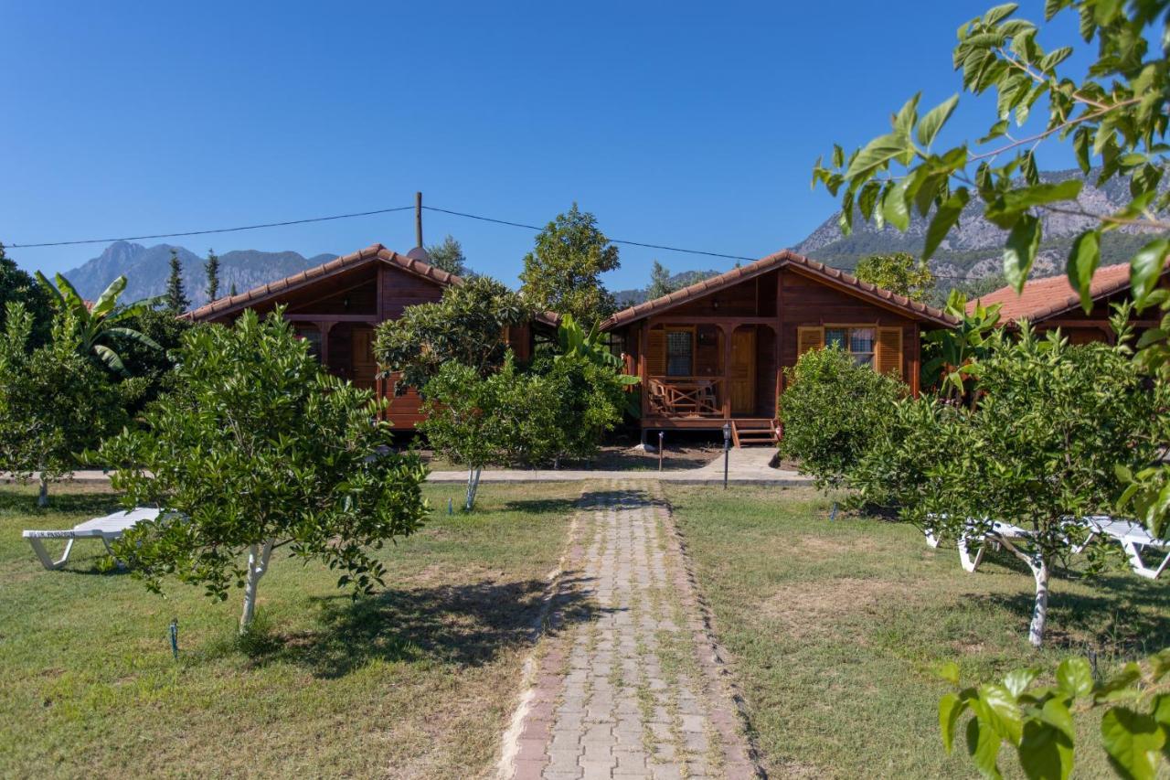 Ugur Pansiyon Bungalows ชิลารึ ภายนอก รูปภาพ