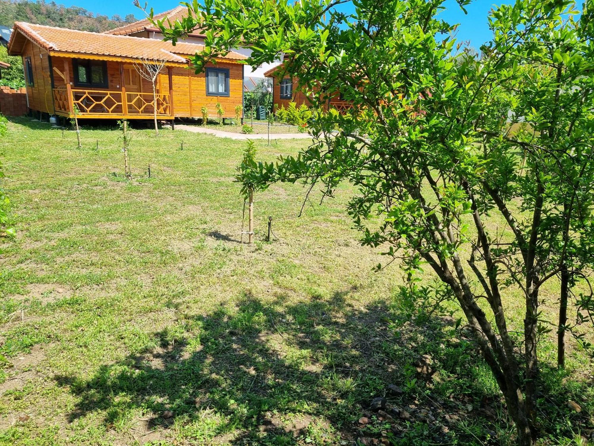 Ugur Pansiyon Bungalows ชิลารึ ภายนอก รูปภาพ